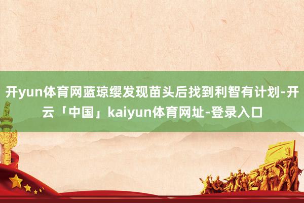 开yun体育网蓝琼缨发现苗头后找到利智有计划-开云「中国」kaiyun体育网址-登录入口