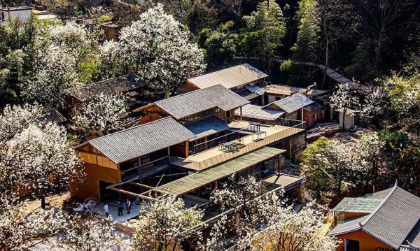 开云体育(中国)官方网站每年超过20万搭客为花而来-开云「中国」kaiyun体育网址-登录入口