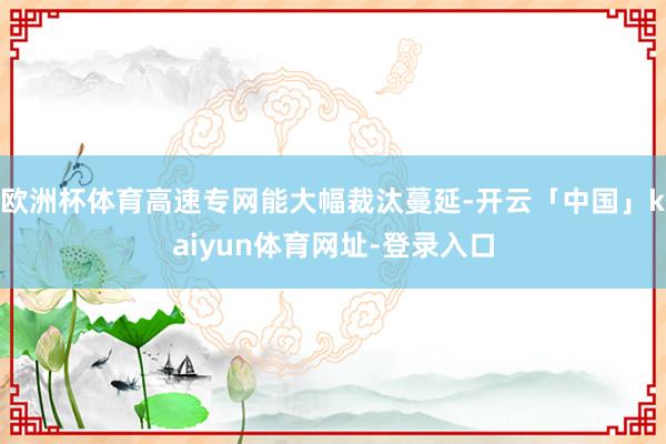 欧洲杯体育高速专网能大幅裁汰蔓延-开云「中国」kaiyun体育网址-登录入口