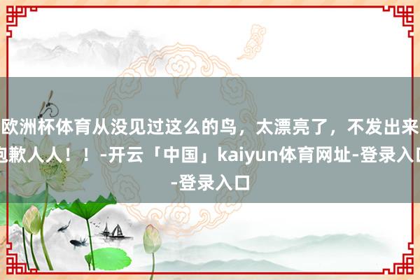 欧洲杯体育从没见过这么的鸟，太漂亮了，不发出来抱歉人人！！-开云「中国」kaiyun体育网址-登录入