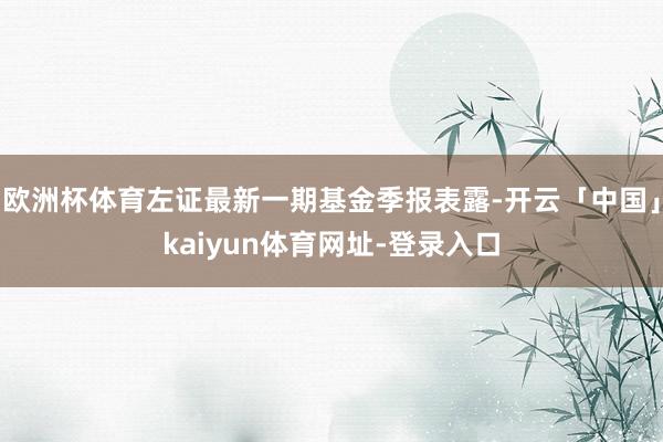 欧洲杯体育左证最新一期基金季报表露-开云「中国」kaiyun体育网址-登录入口