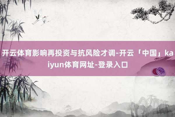 开云体育影响再投资与抗风险才调-开云「中国」kaiyun体育网址-登录入口